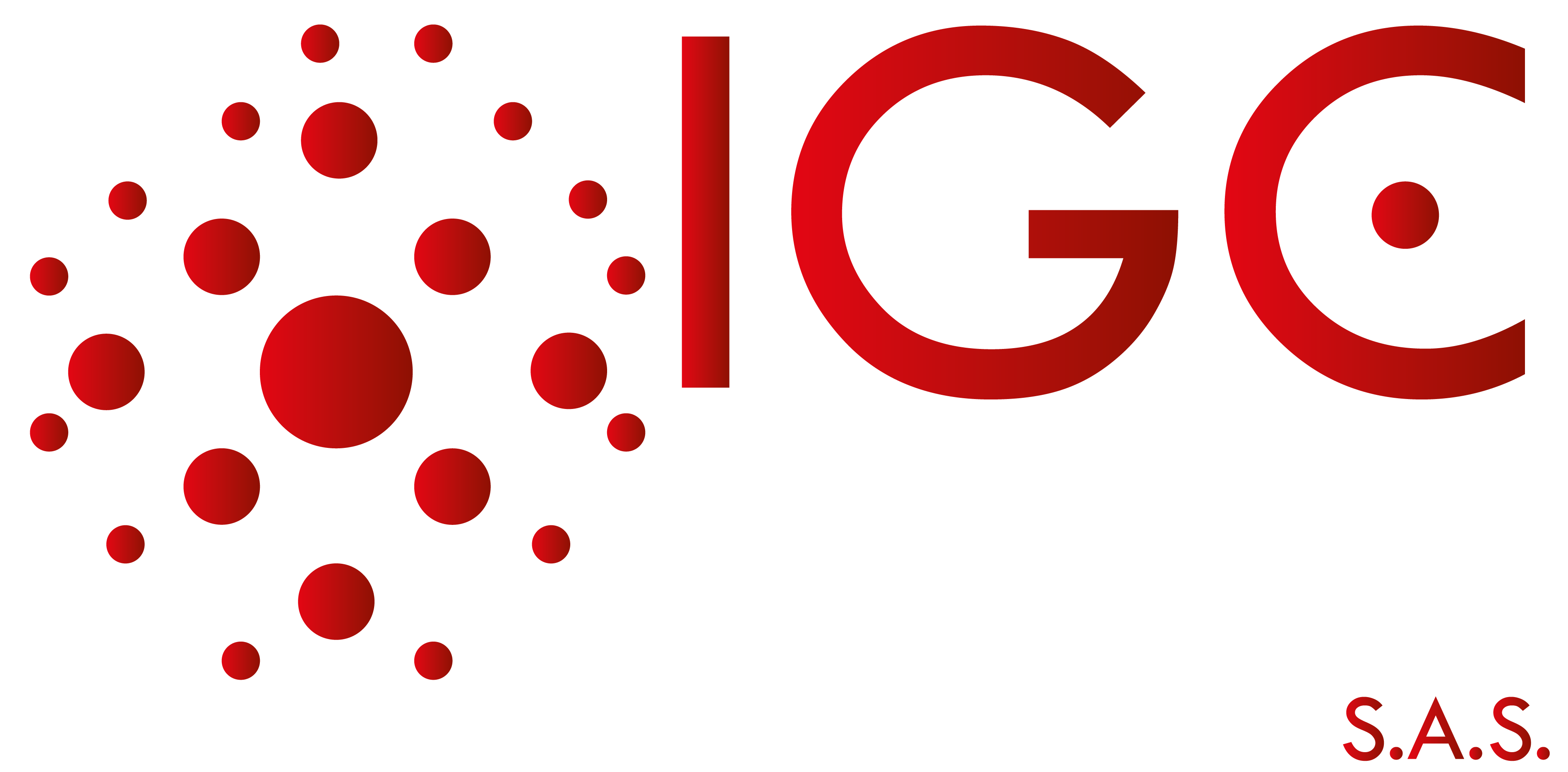 Logo IGC Group S.A.S.-28