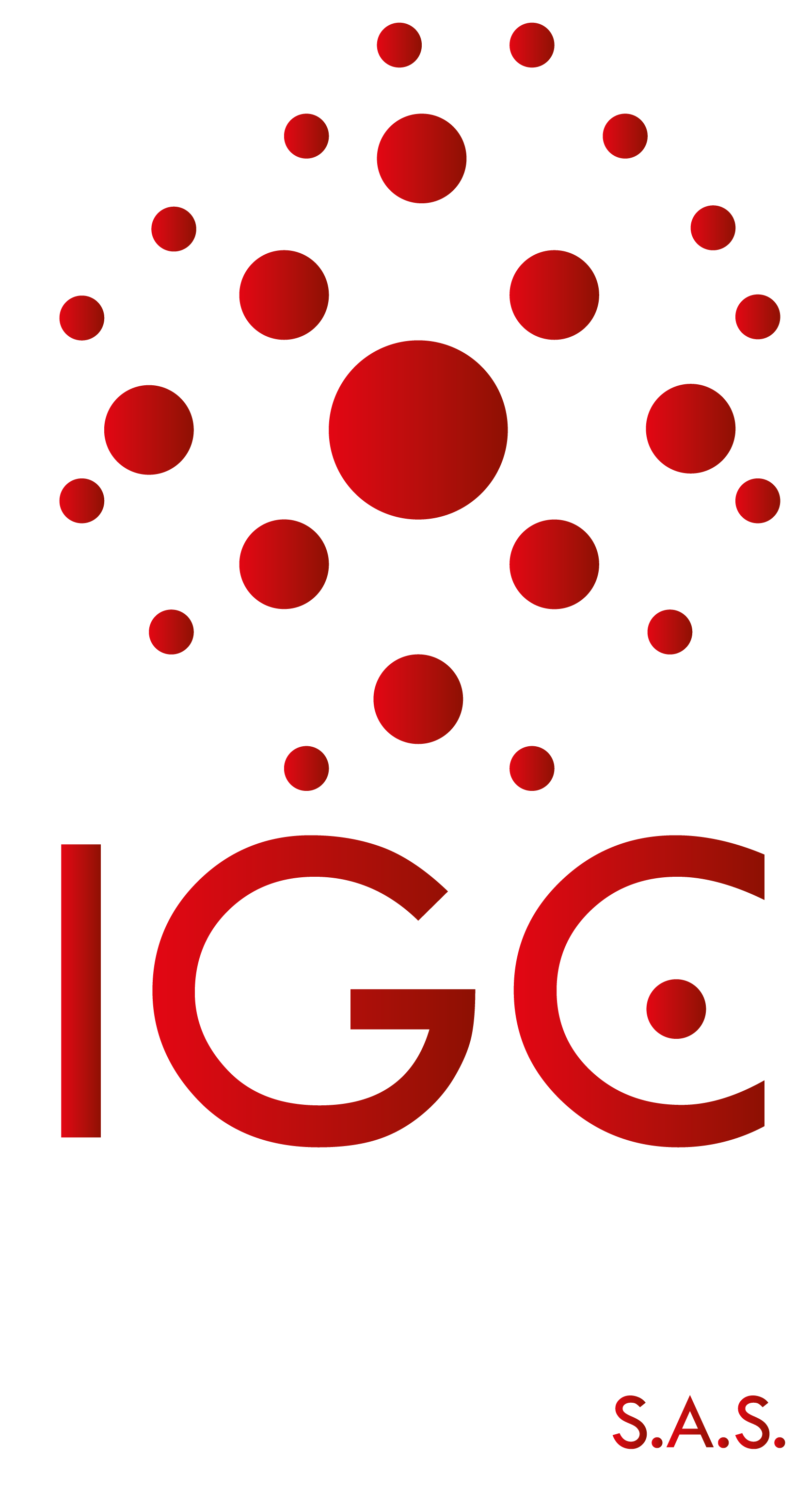 Logo IGC Group S.A.S.-29