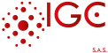 Logo IGC Group S.A.S.-28