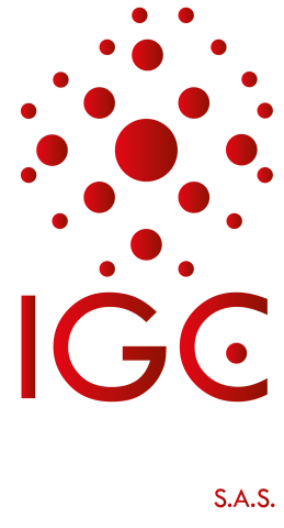 Logo IGC Group S.A.S.-29