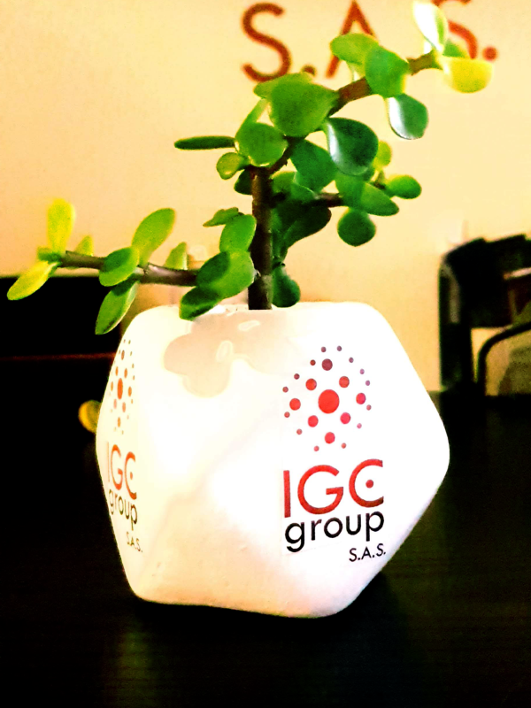 about_igc